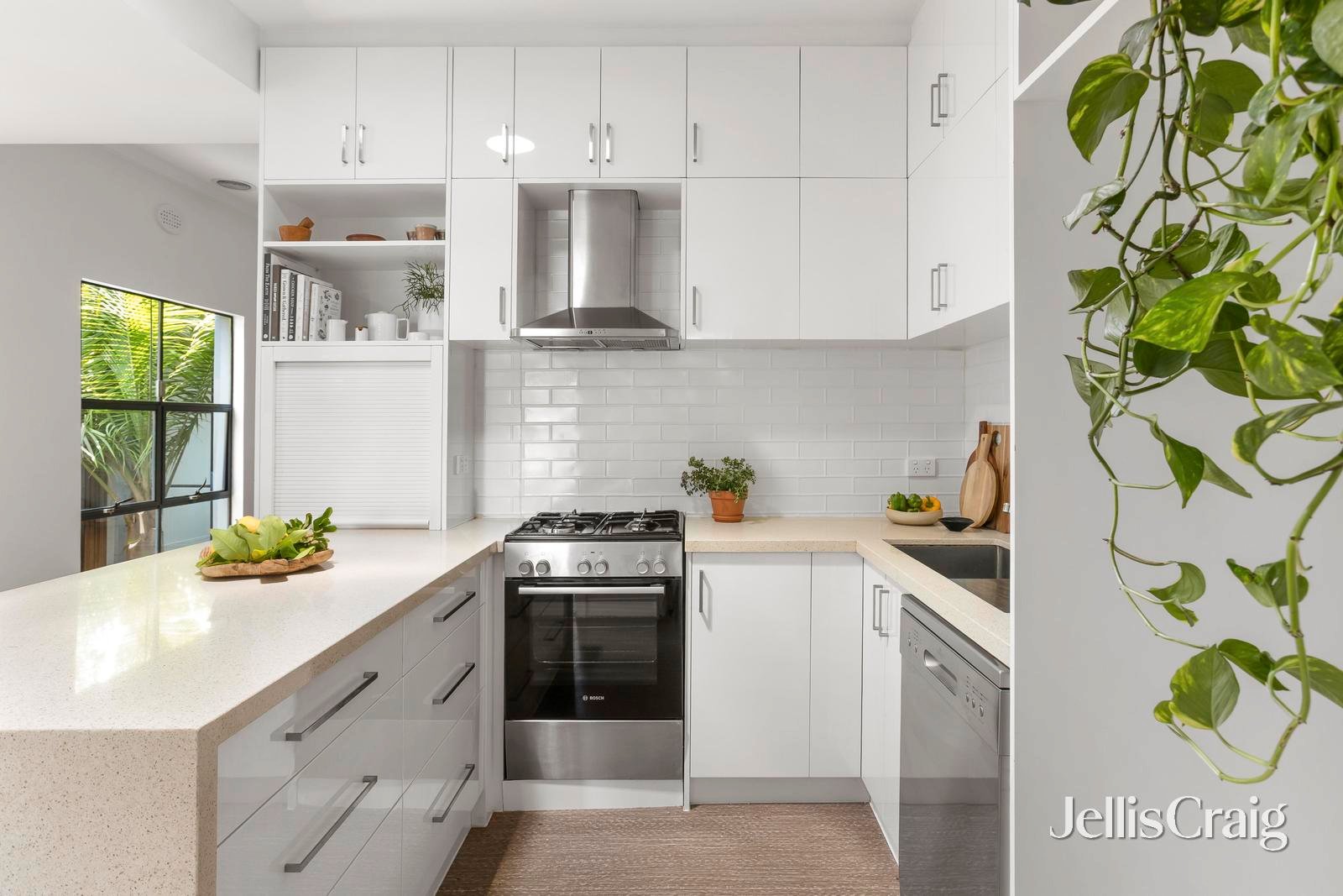 33 Hodgkinson Street, Clifton&nbsp;Hill image 6