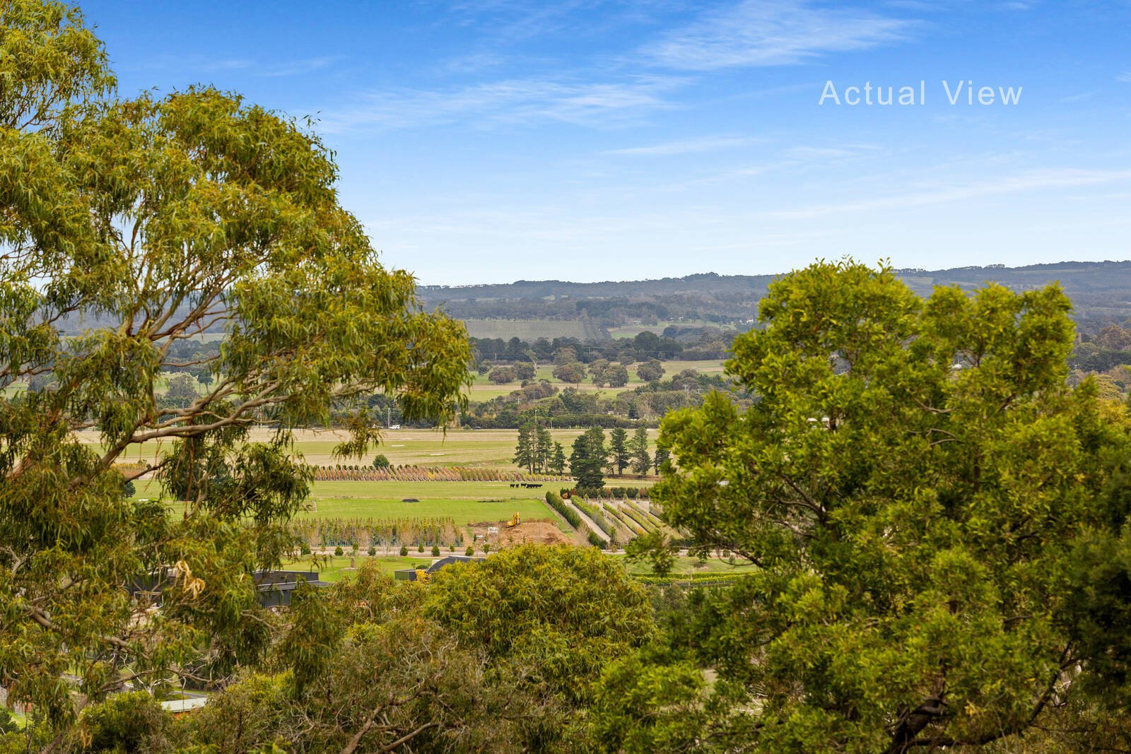 Property Gallery - Main Image