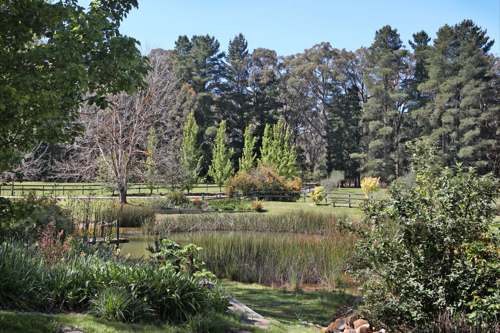 Property Gallery Thumbnail 21