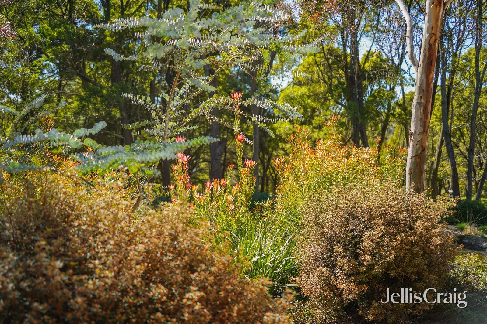 33 Tweddle Lane, Woodend image 10
