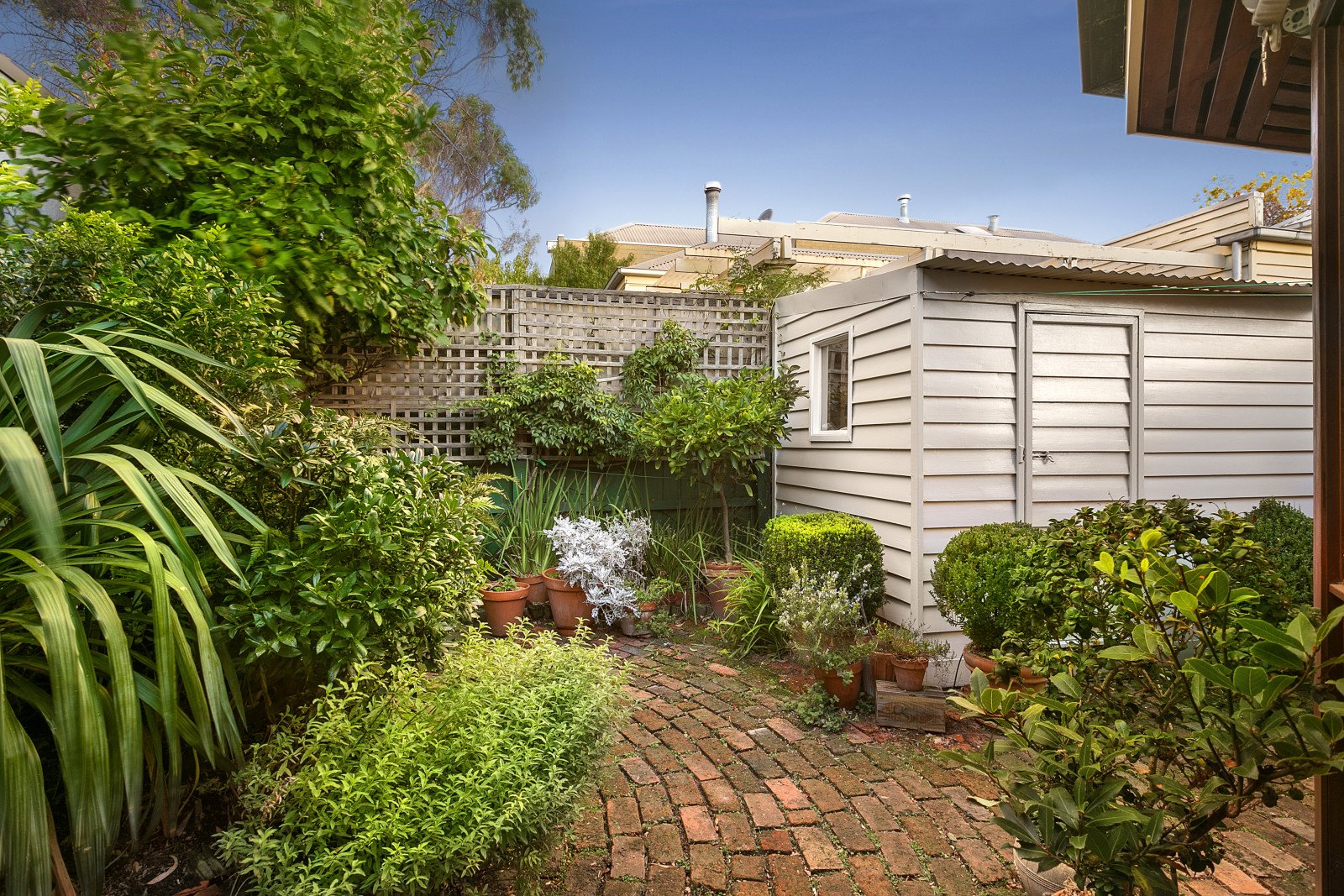 33 Withers Street, Albert Park image 8