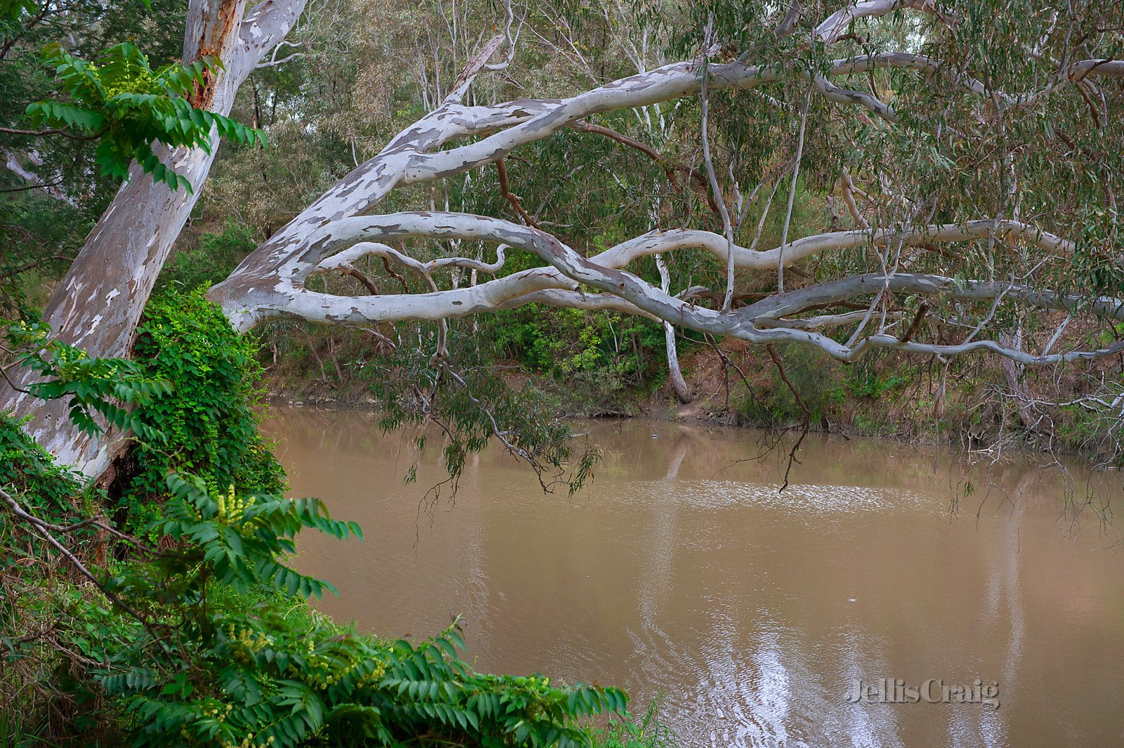 3/30 Dellas Avenue, Templestowe image 3