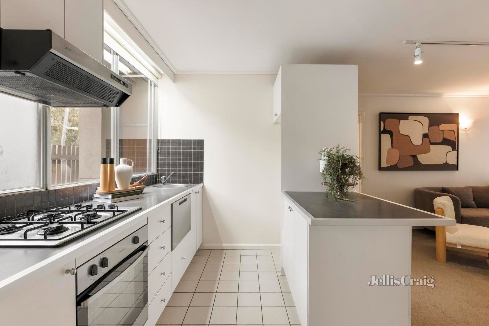 3/31-31A George Street, Fitzroy image 6