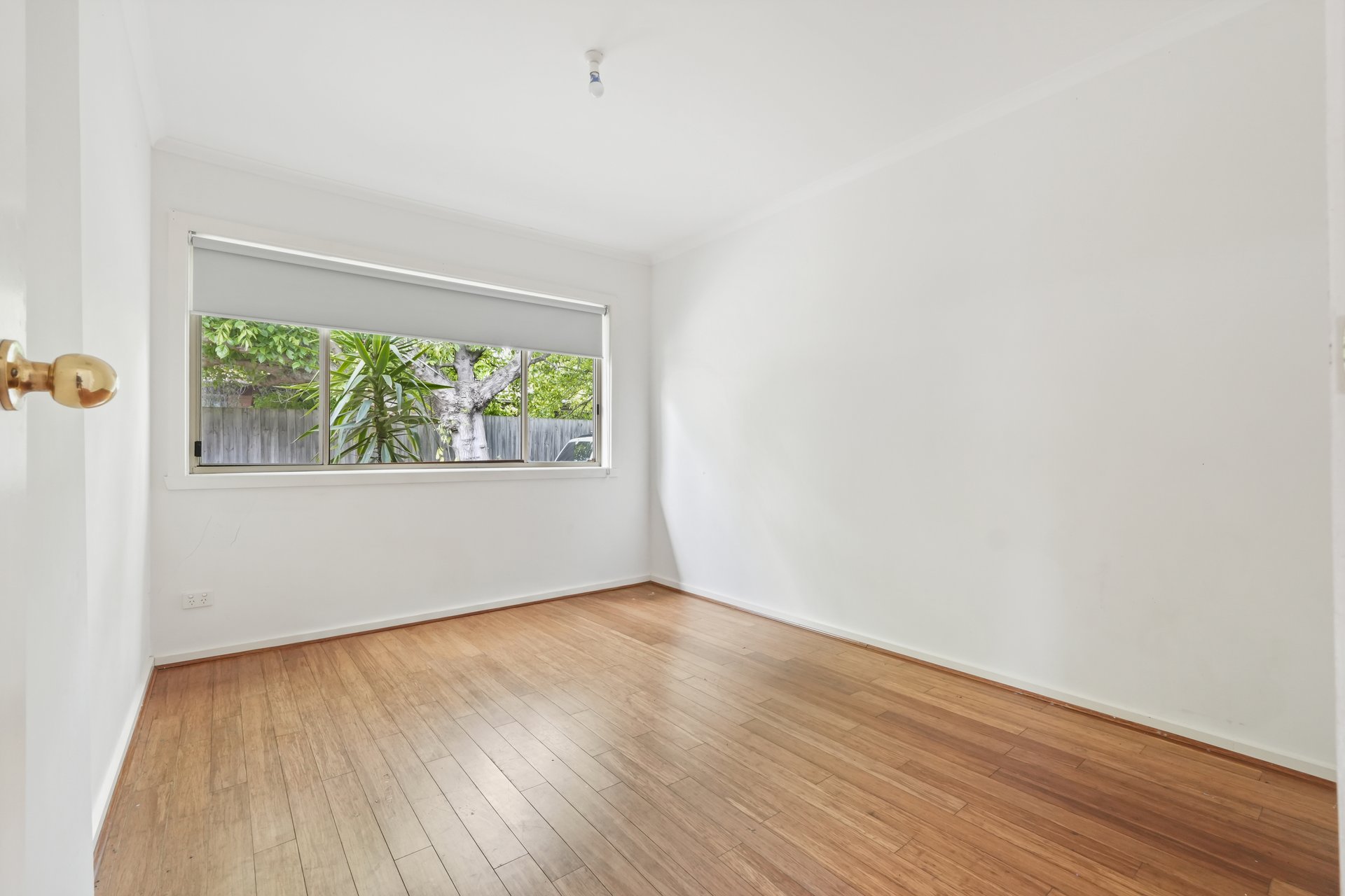 3/31 Golden Avenue, Chelsea image 3