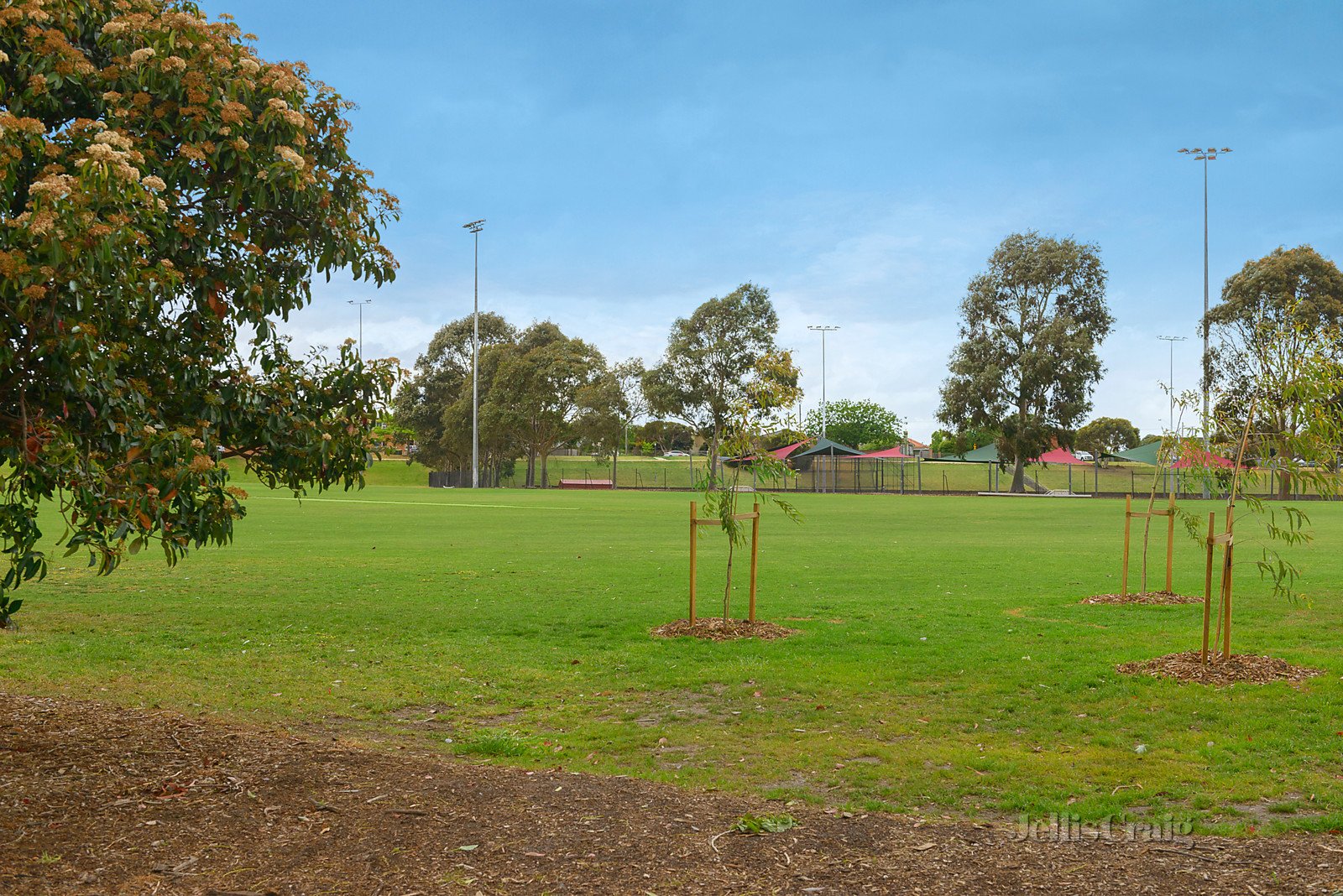 331 Murrumbeena Road, Murrumbeena image 8