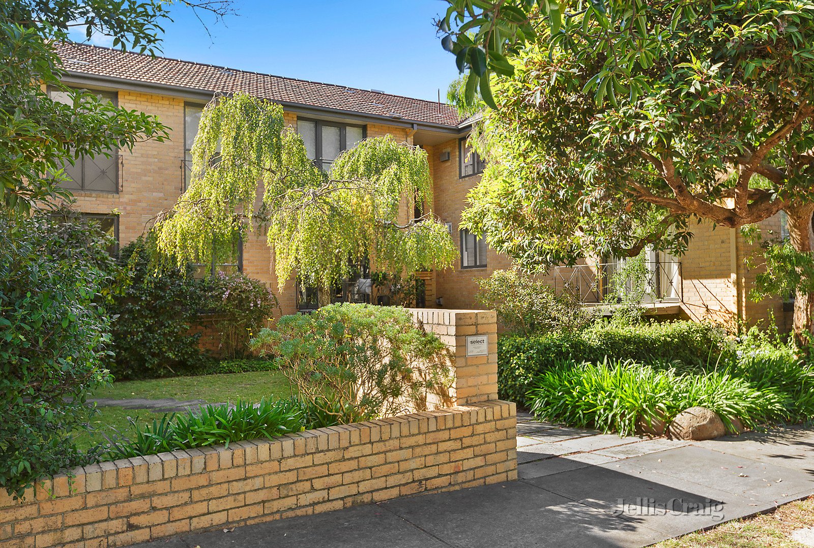 3/33 Anderson Road, Hawthorn East image 6