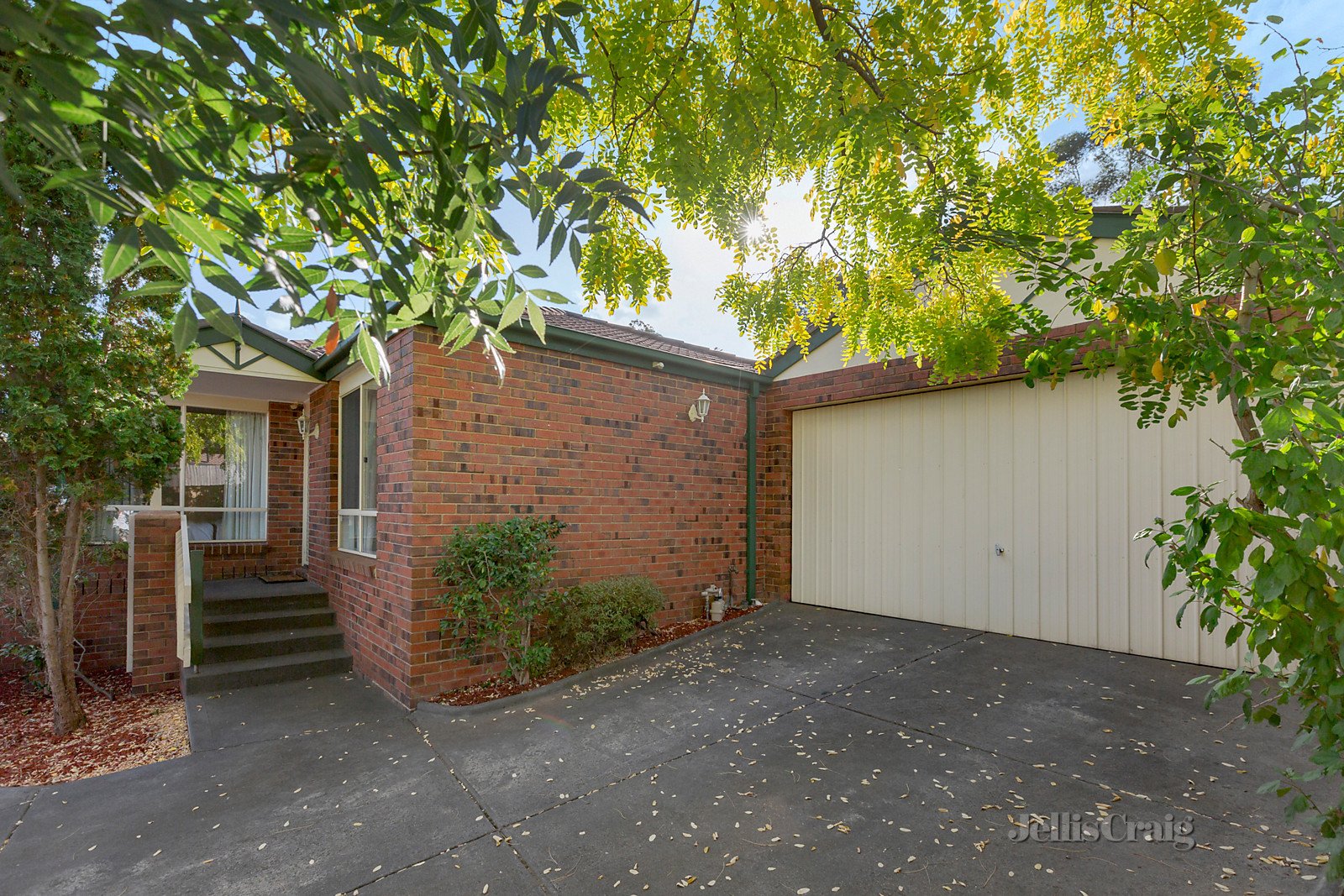 3/34 Andrew Street, Ringwood
- Print Image 1