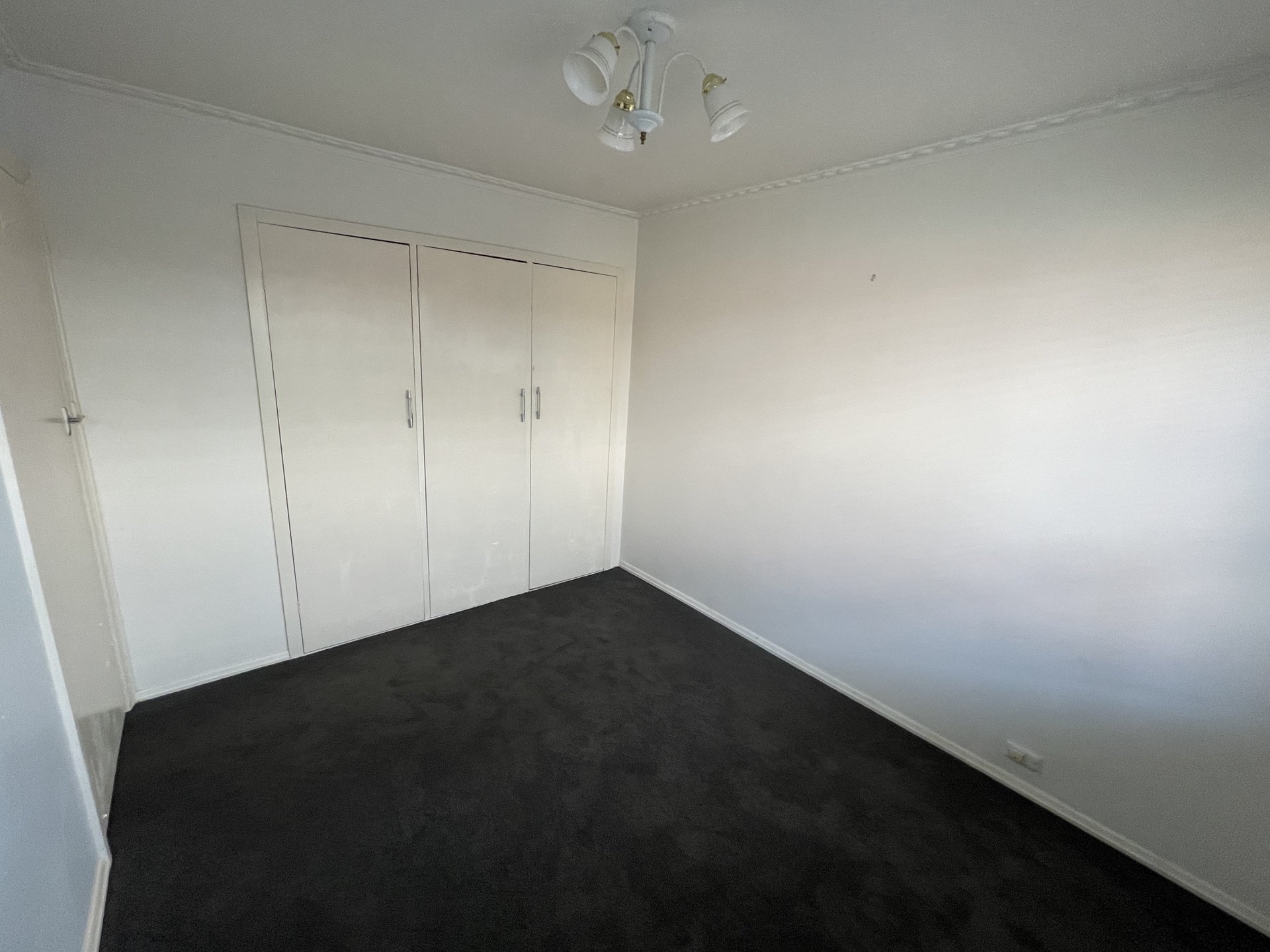 3/34 Ballater Avenue, Newtown image 5