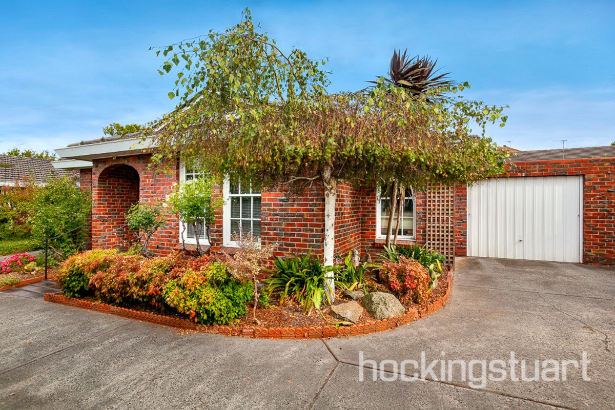 3/34 Deepdene Road, Deepdene image 8