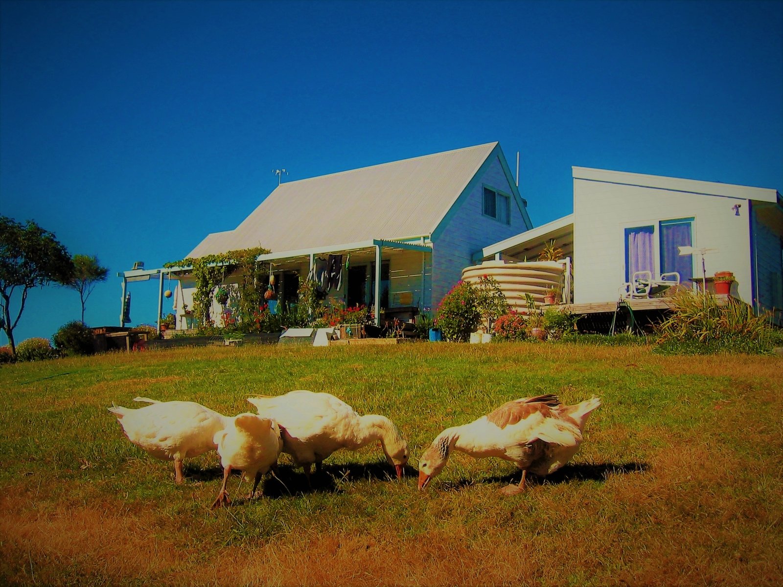 Property Gallery Thumbnail 4