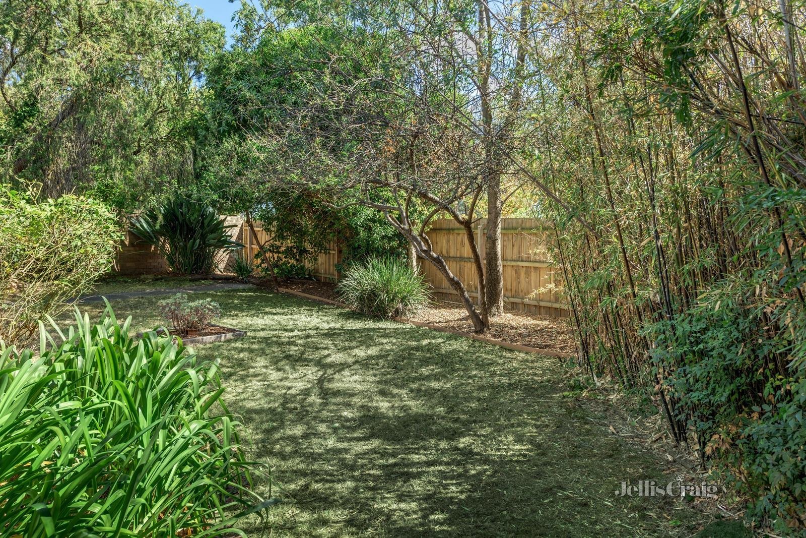 3/343 George Street, Doncaster image 8