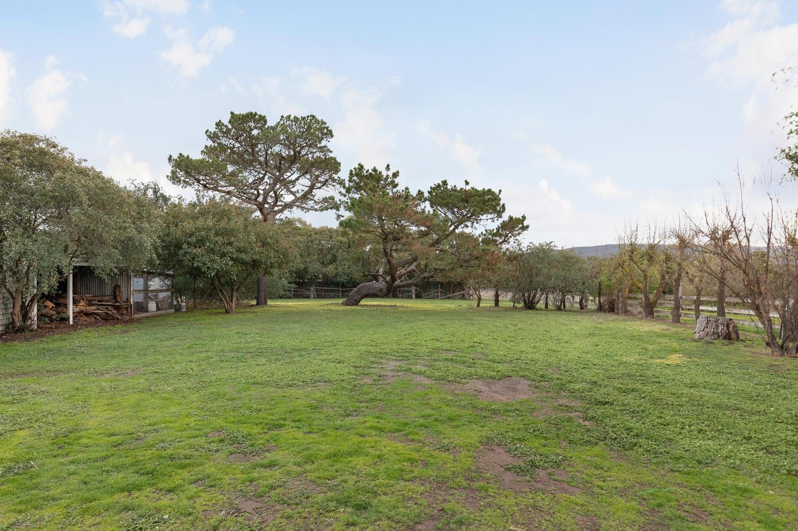 335 Grants Road, Eden Park image 13
