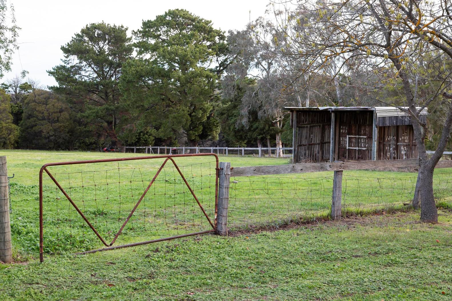 335 Grants Road, Eden Park image 19