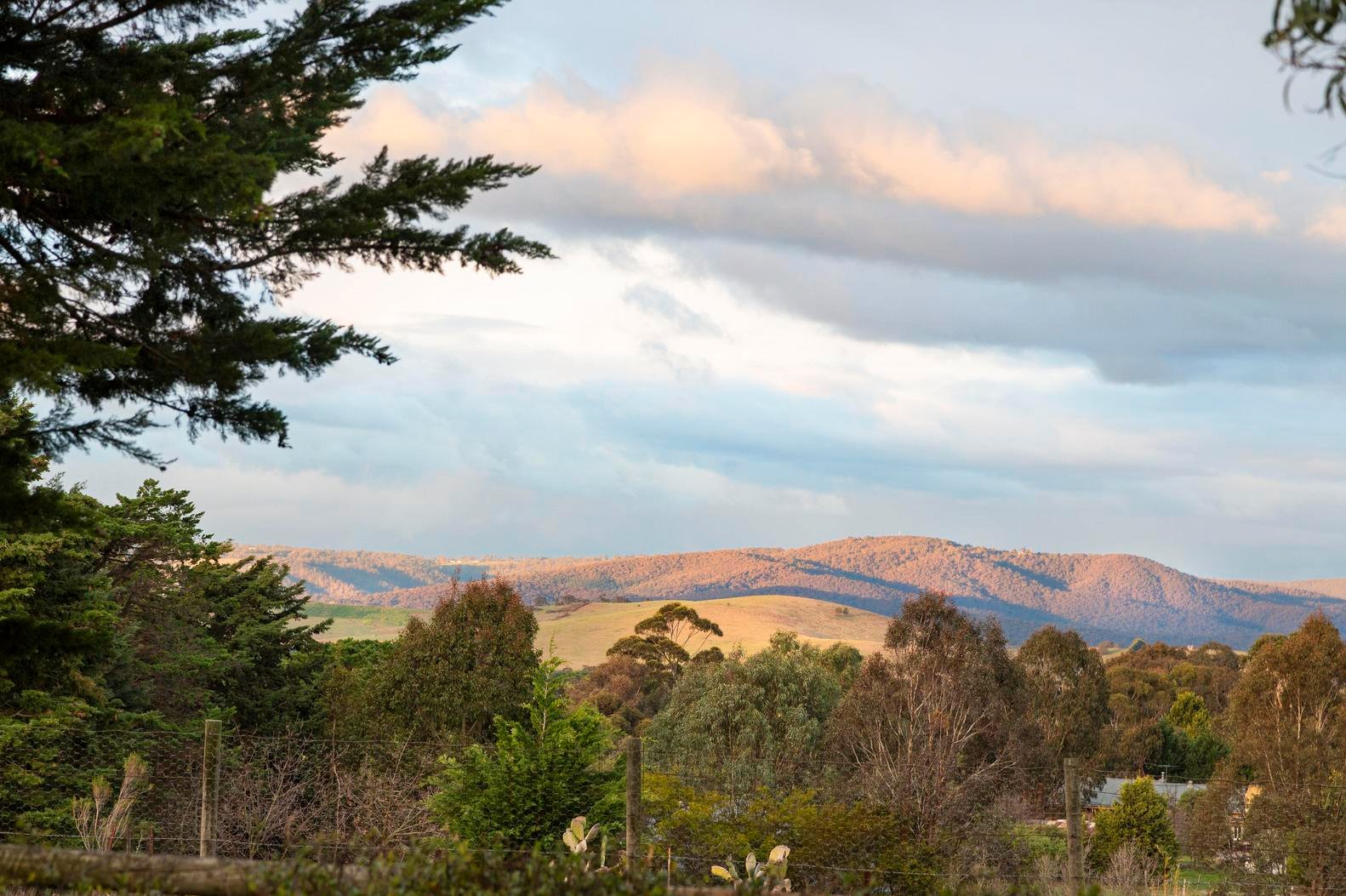 335 Grants Road, Eden Park image 21