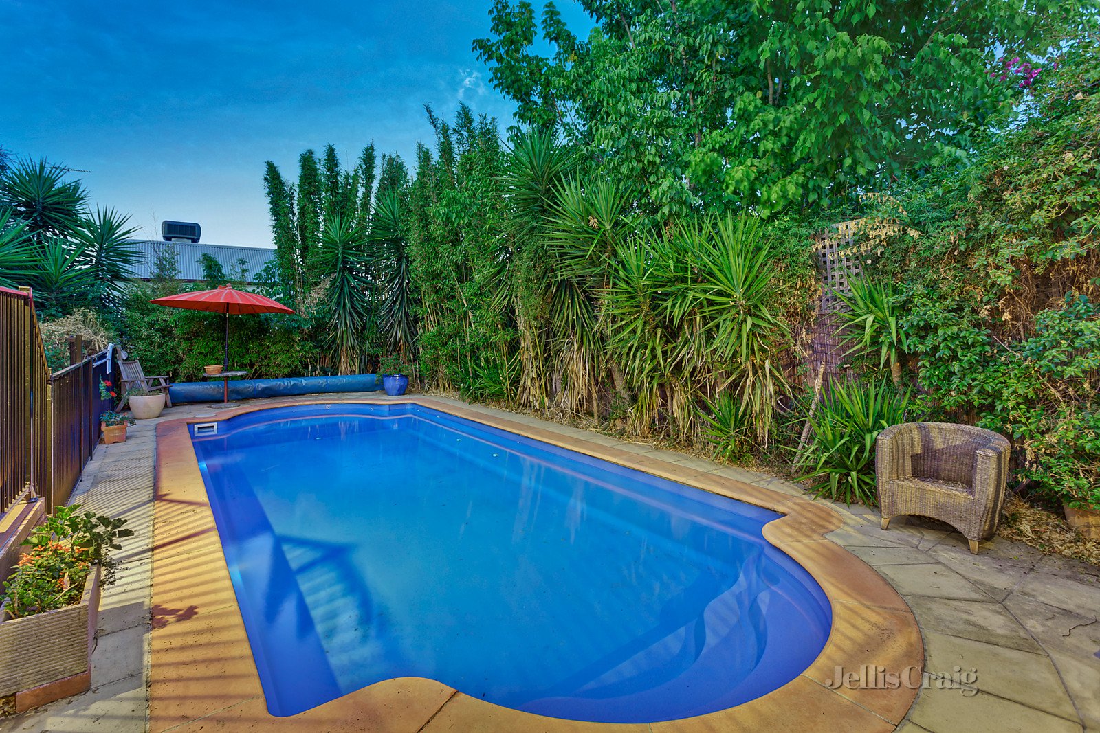 335 Riversdale Road, Hawthorn East image 4