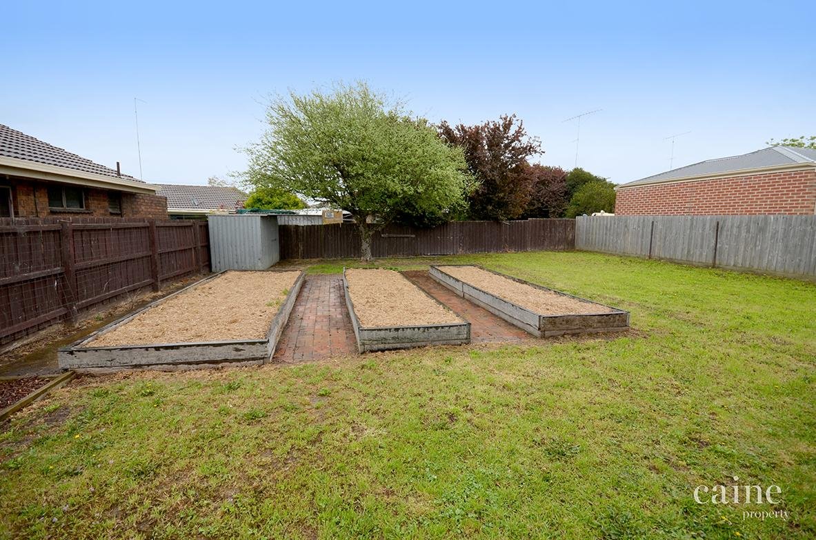 336 Albert Street, Sebastopol image 11