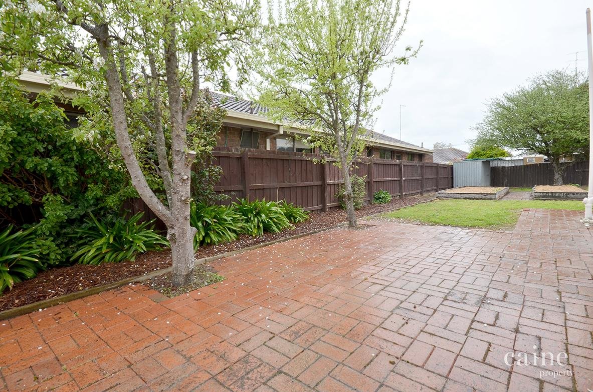 336 Albert Street, Sebastopol image 12