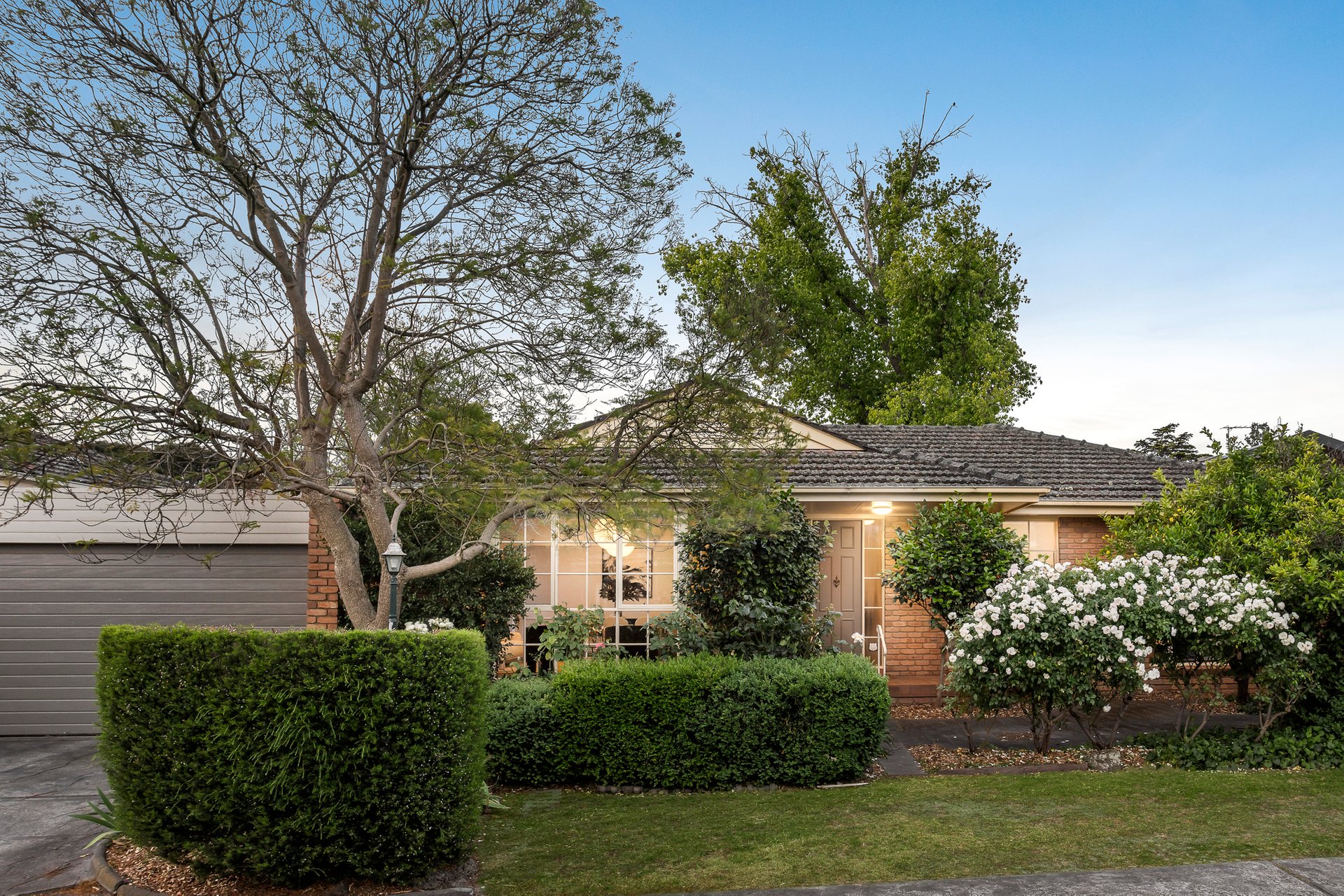 3/36 Daniell Place