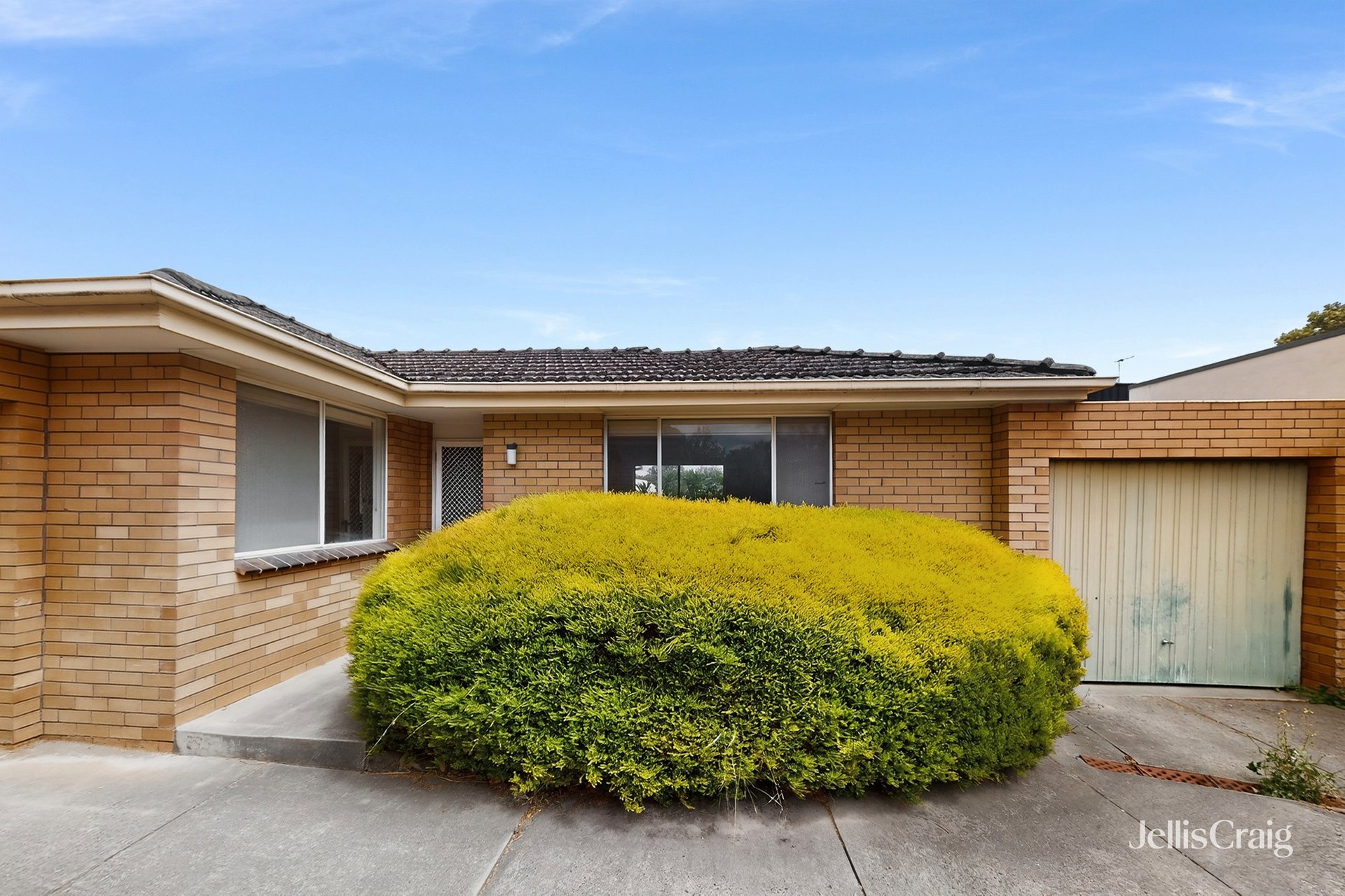 3/37 Northcote Avenue, Balwyn image 1