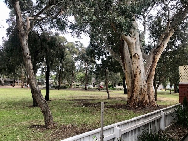 3 / 37 Regent Street Brighton East