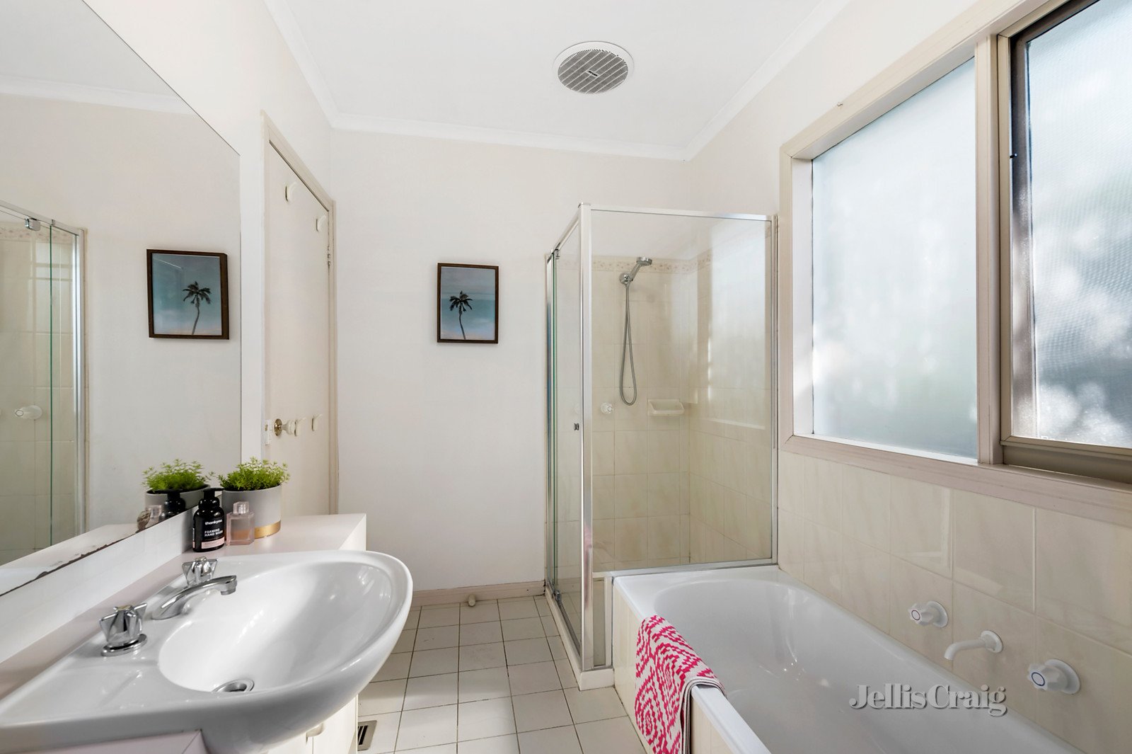 3/377 Mitcham Road, Mitcham image 5