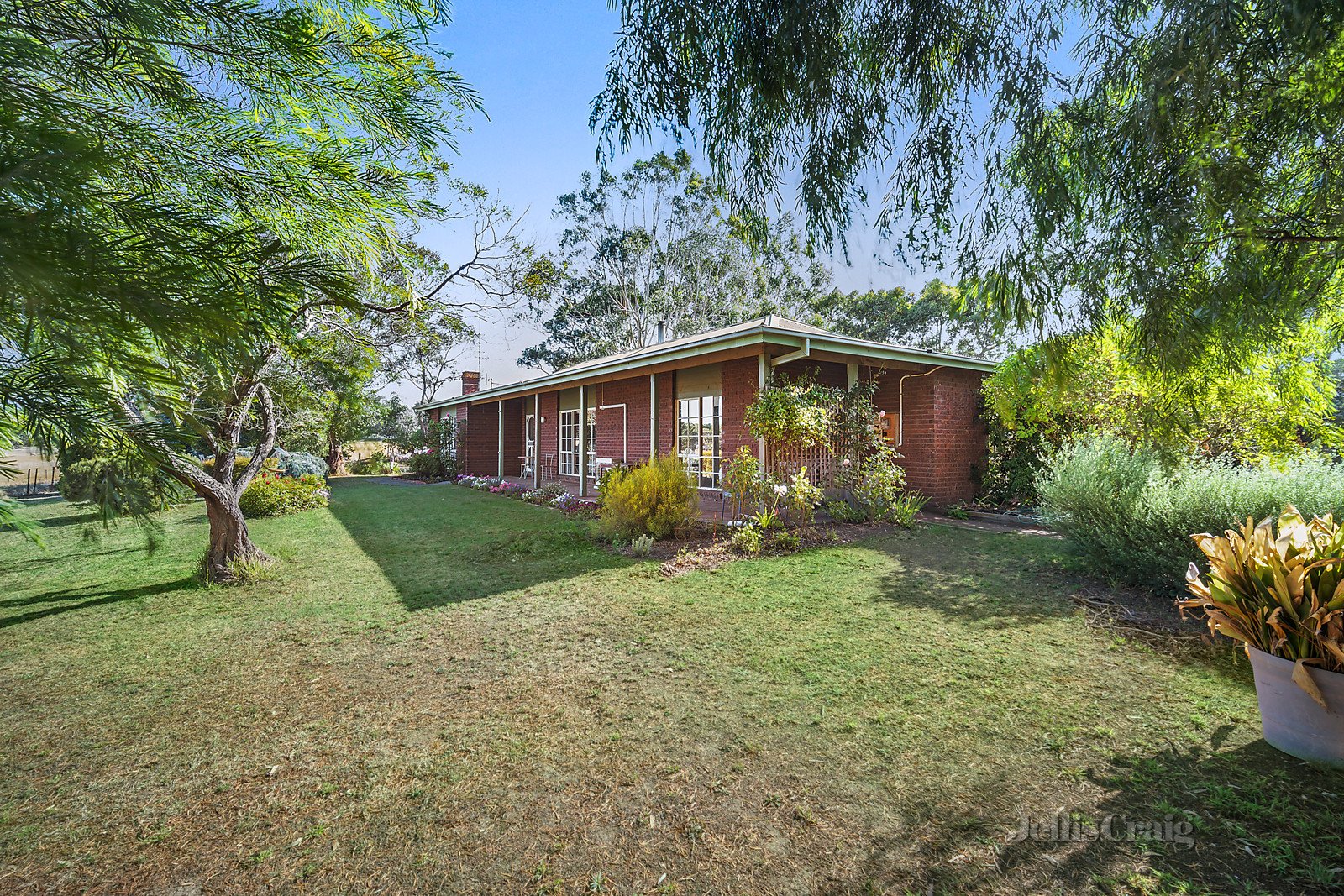 339 Bells Road, Smythes Creek image 2