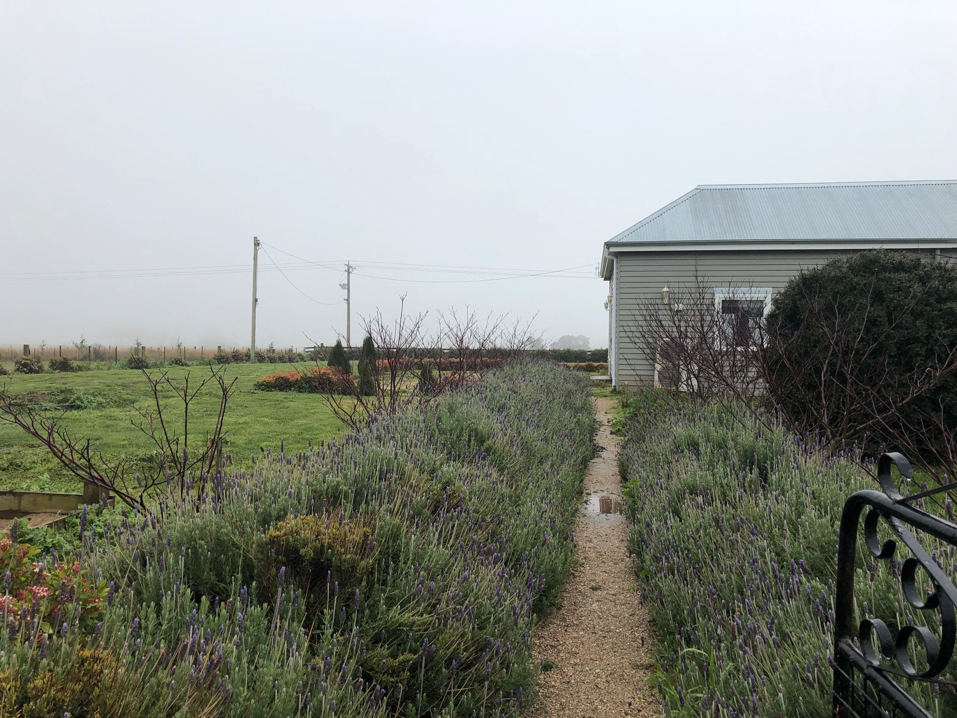 339 Boundary Road, Lancefield image 13