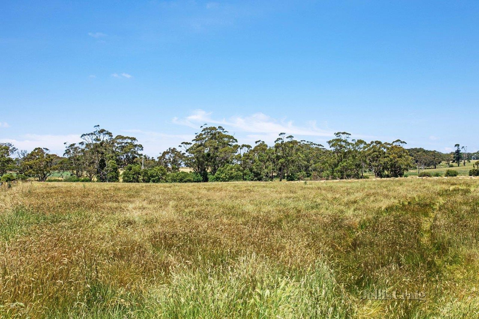 339 James Lane, Trentham East image 8