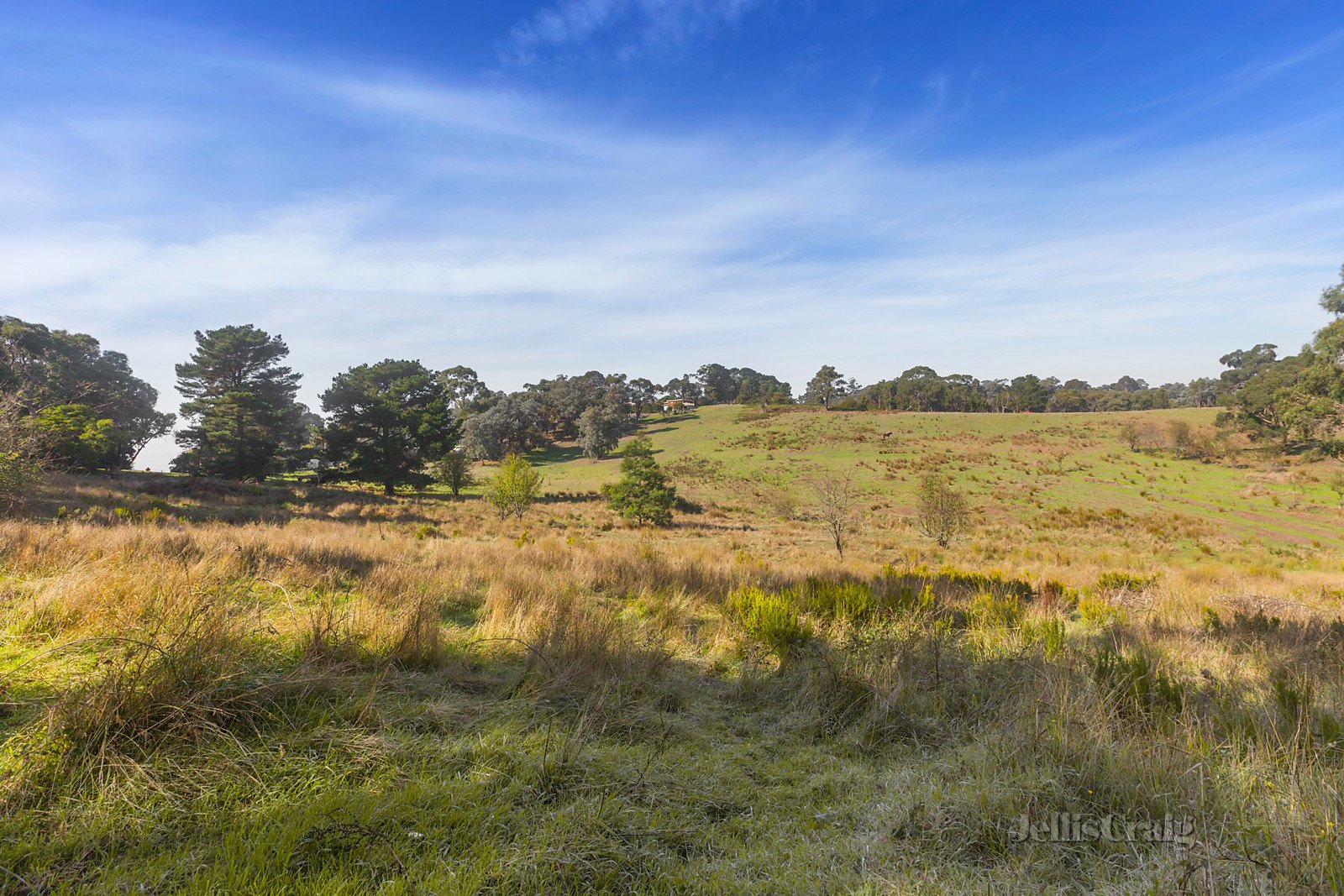 339 Yarra Road, Wonga Park image 7