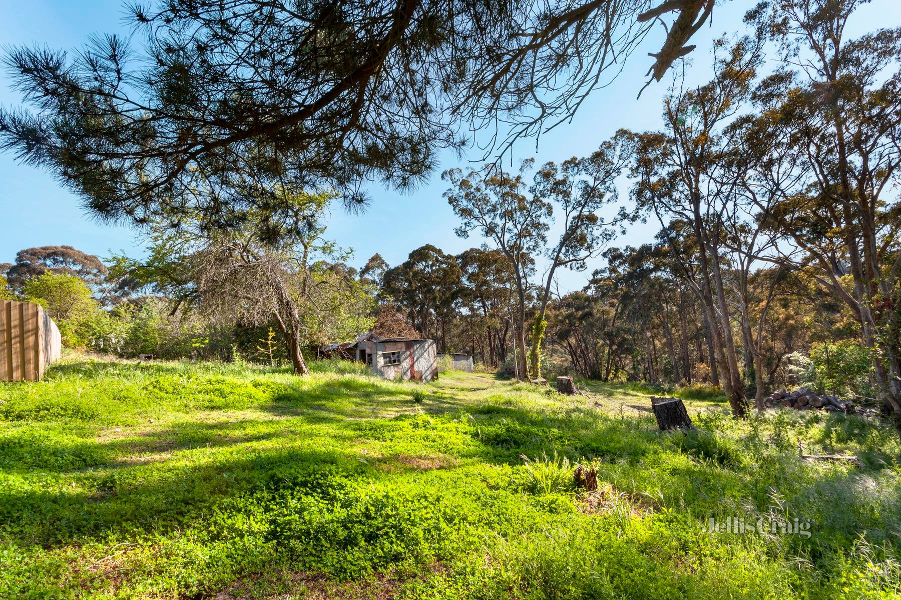 33A West Street, Daylesford image 5