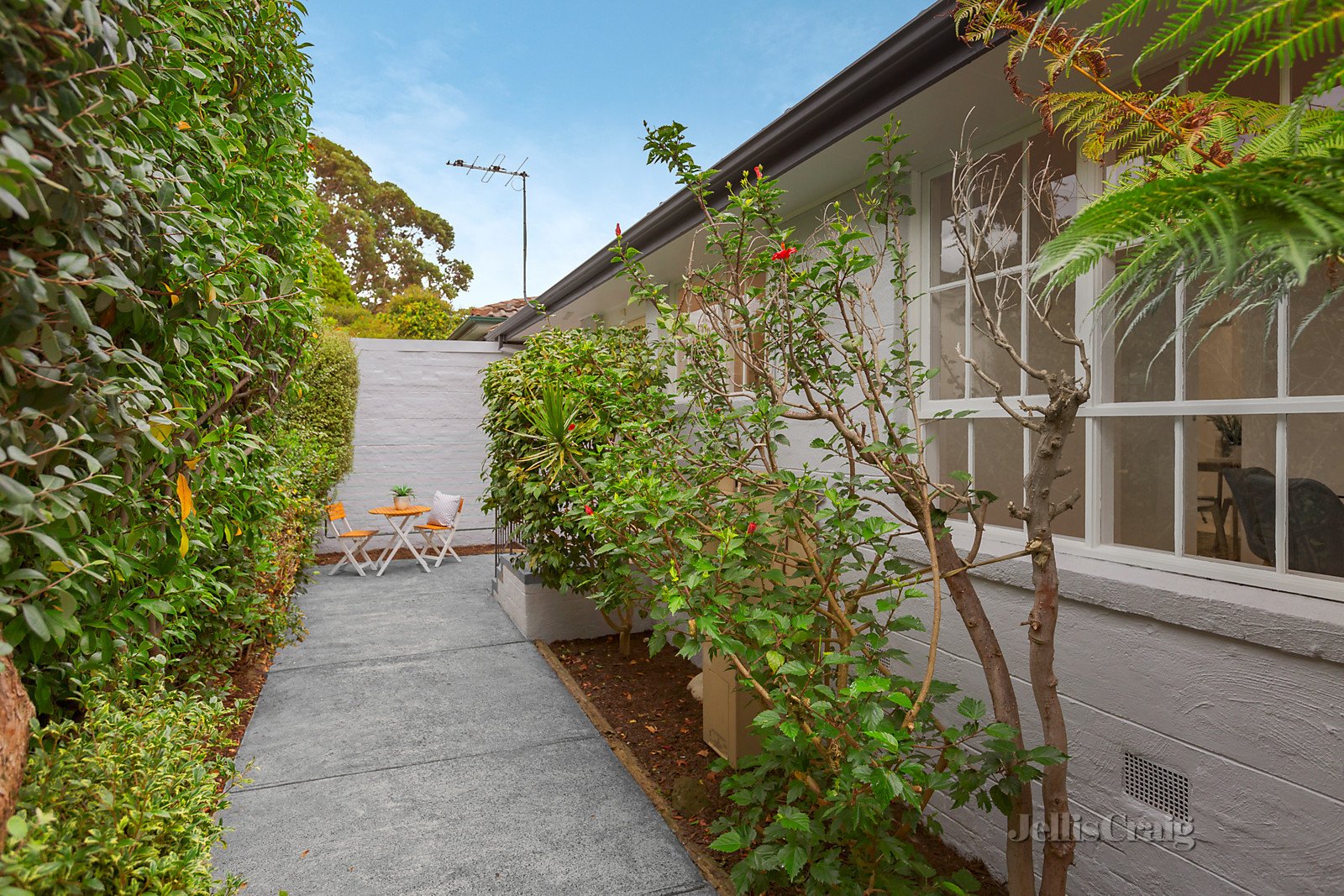 3/4-6 Paxton Street, Malvern East image 6