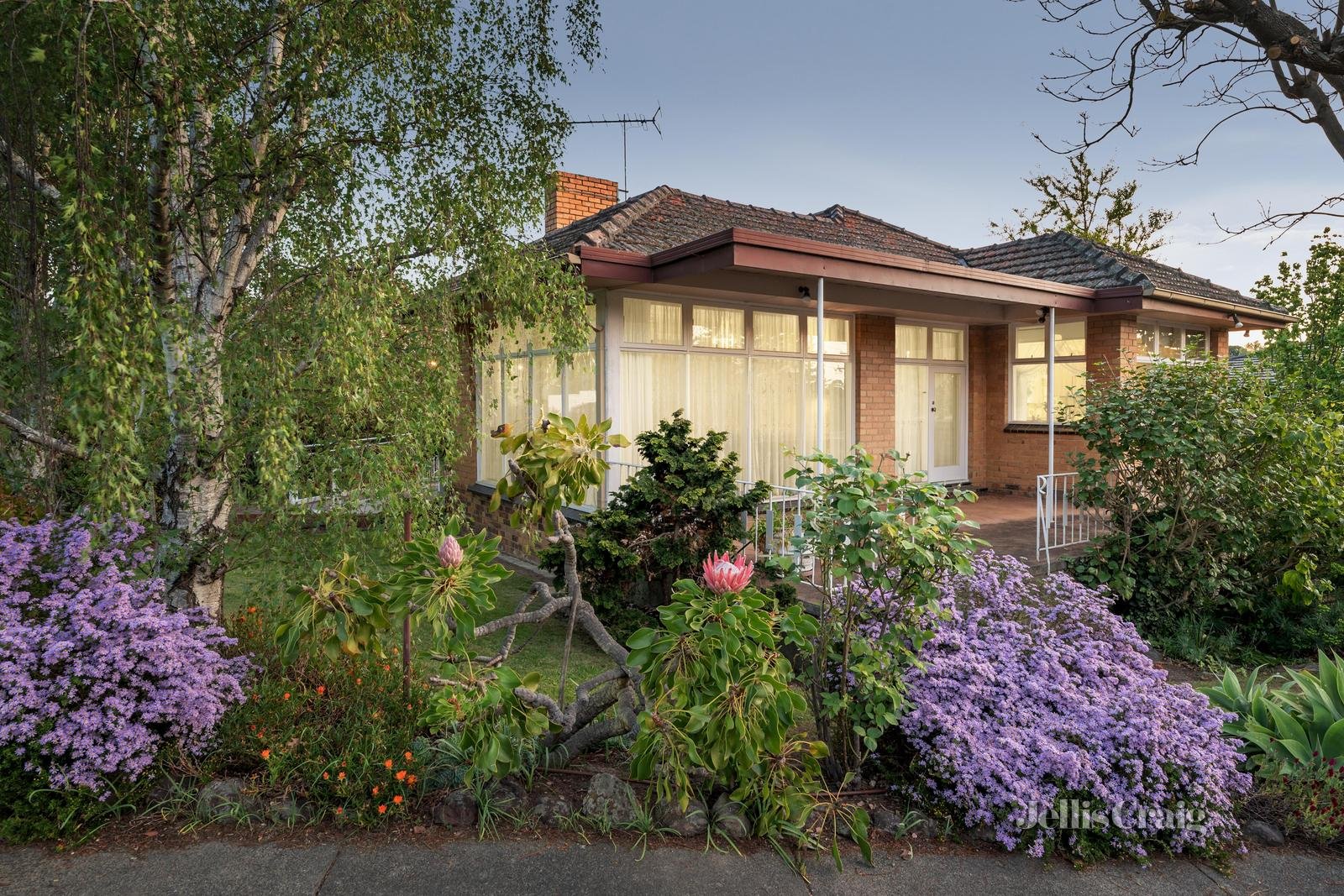 34 Almond Street, Balwyn North image 3