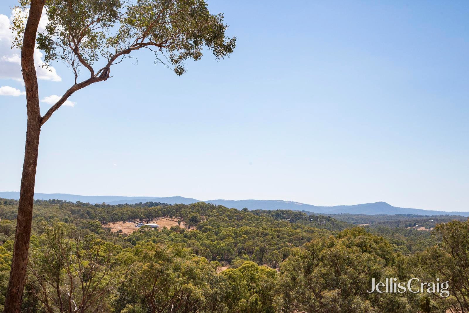 34 Bean Drive, Wattle&nbsp;Glen image 2