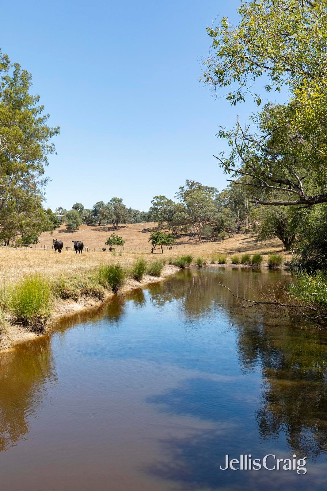34 Bean Drive, Wattle&nbsp;Glen image 5