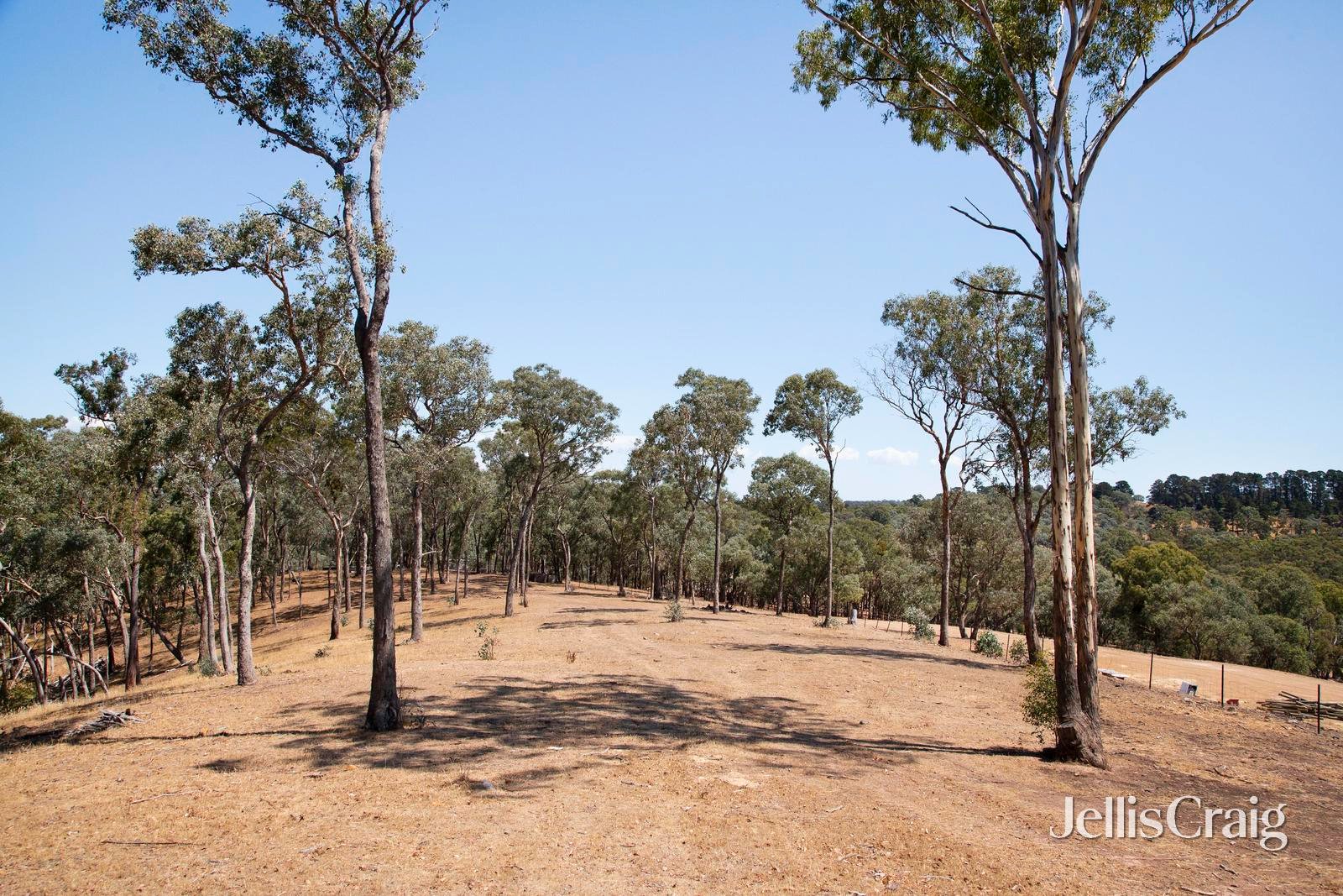 34 Bean Drive, Wattle&nbsp;Glen image 9