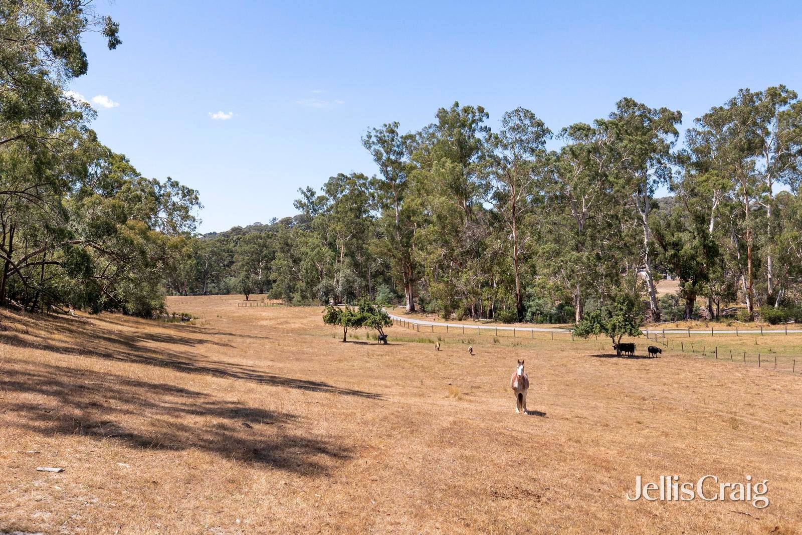 34 Bean Drive, Wattle&nbsp;Glen image 13
