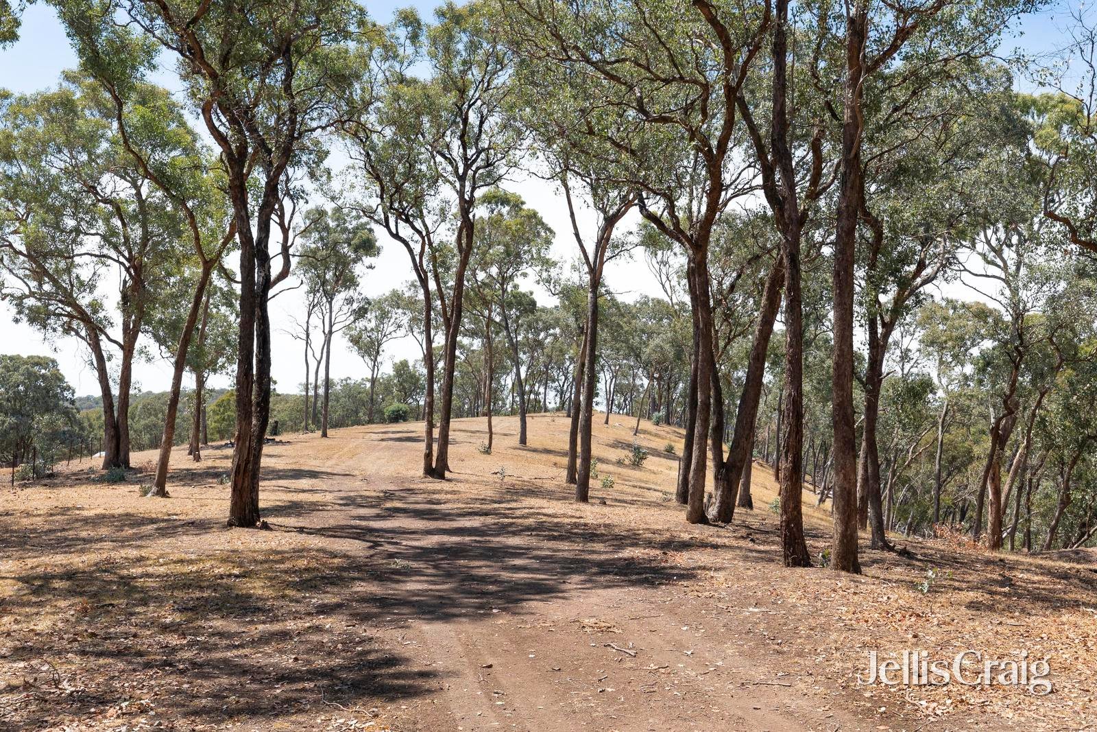 34 Bean Drive, Wattle&nbsp;Glen image 14