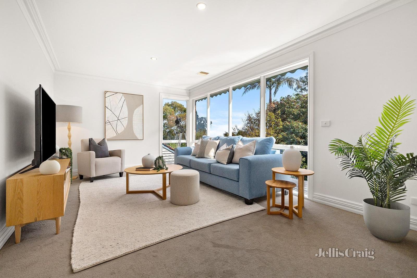 34 Bentley Street, Surrey Hills image 12