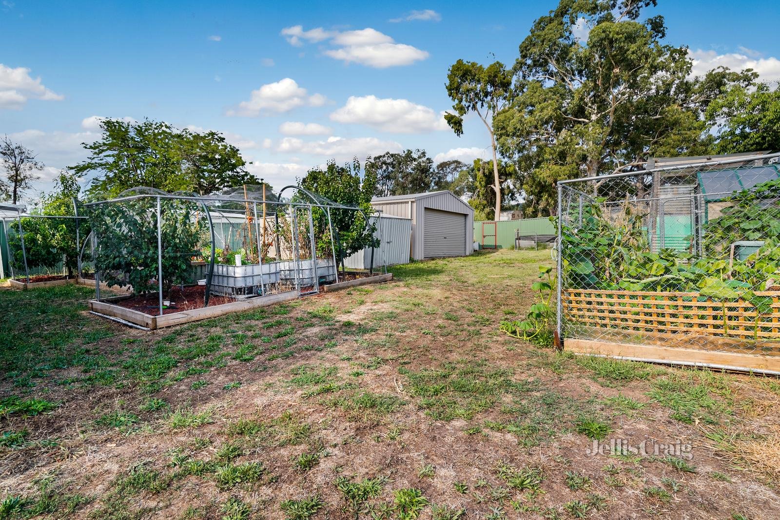 34 Buckley Street, Harcourt image 12