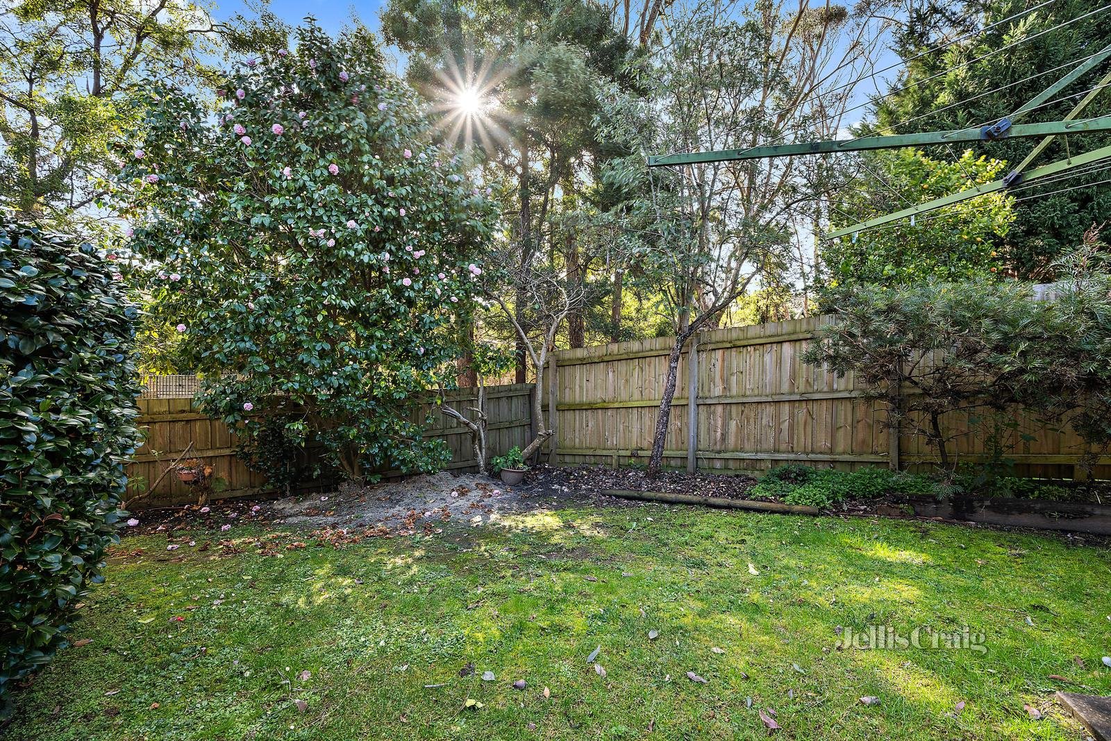 34 Eskdale Drive, Croydon Hills image 12