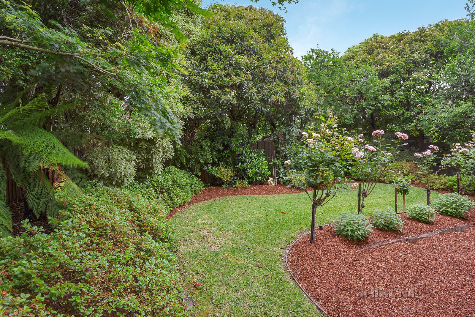 34 Hardwicke Street, Balwyn image 13