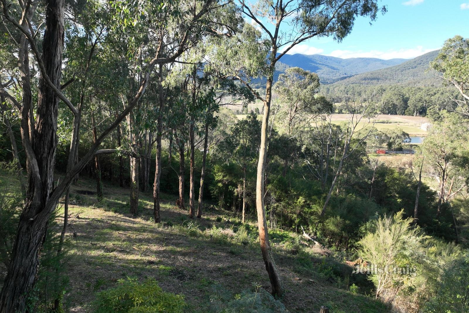 34 Juliet Crescent, Healesville image 1