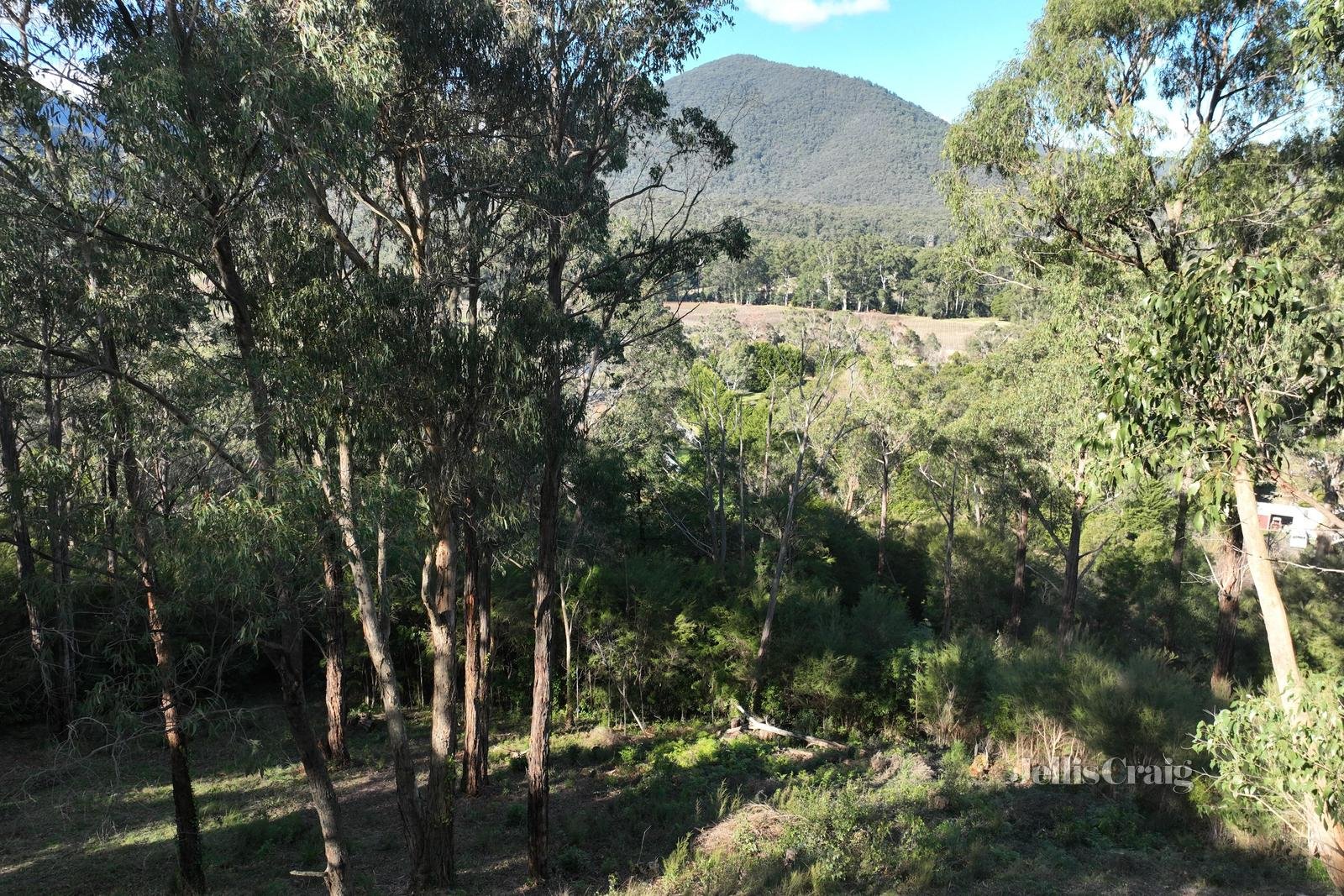 34 Juliet Crescent, Healesville image 2