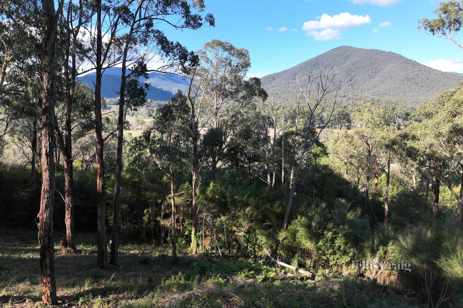 34 Juliet Crescent, Healesville image 3