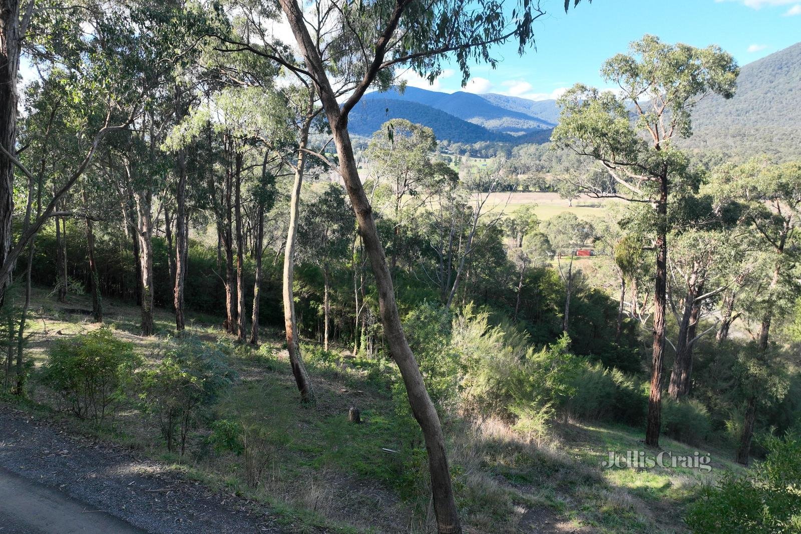 34 Juliet Crescent, Healesville image 4