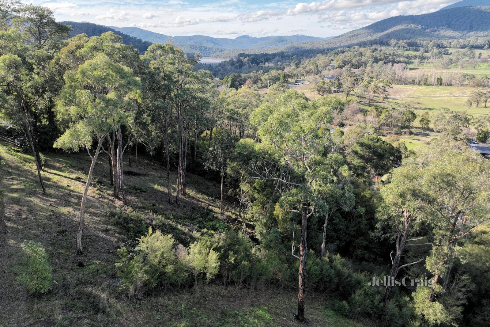 34 Juliet Crescent, Healesville image 5