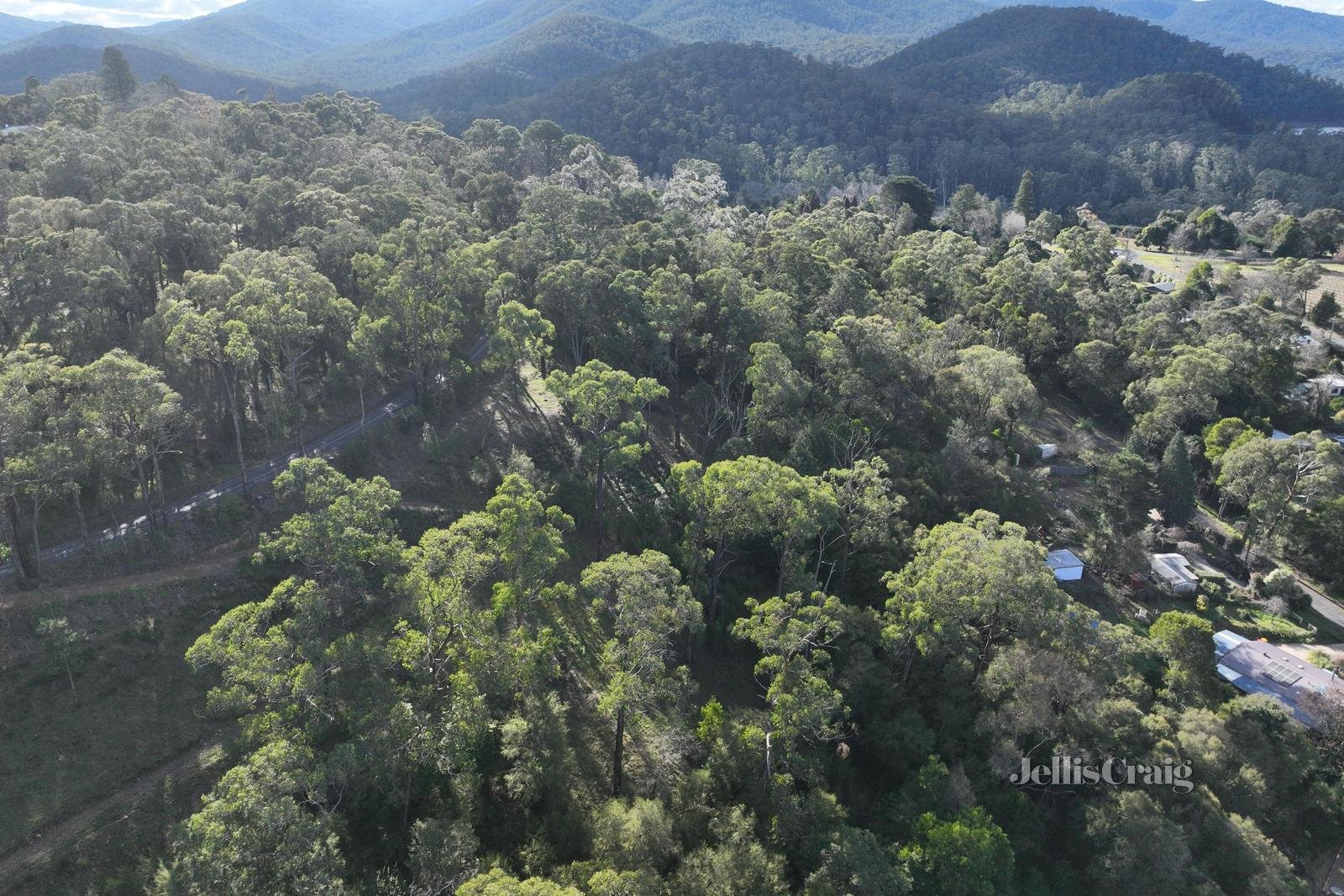 34 Juliet Crescent, Healesville image 6
