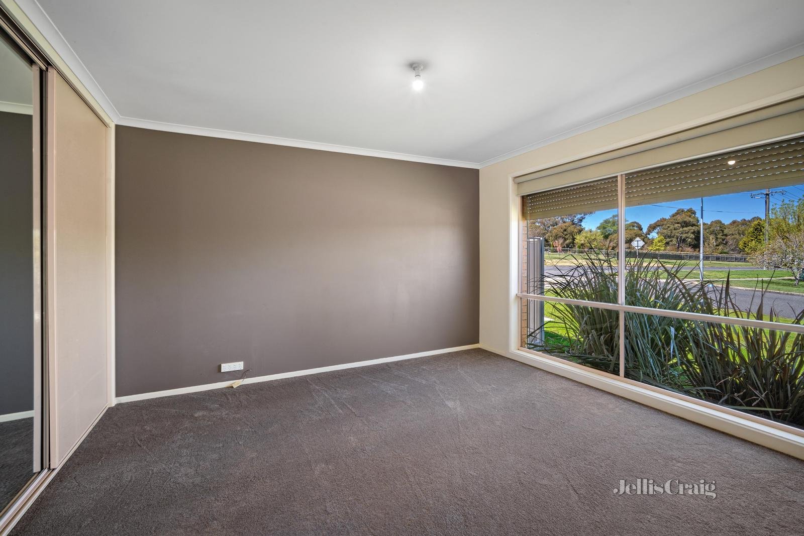 34 Lemuela Court, Invermay Park image 8