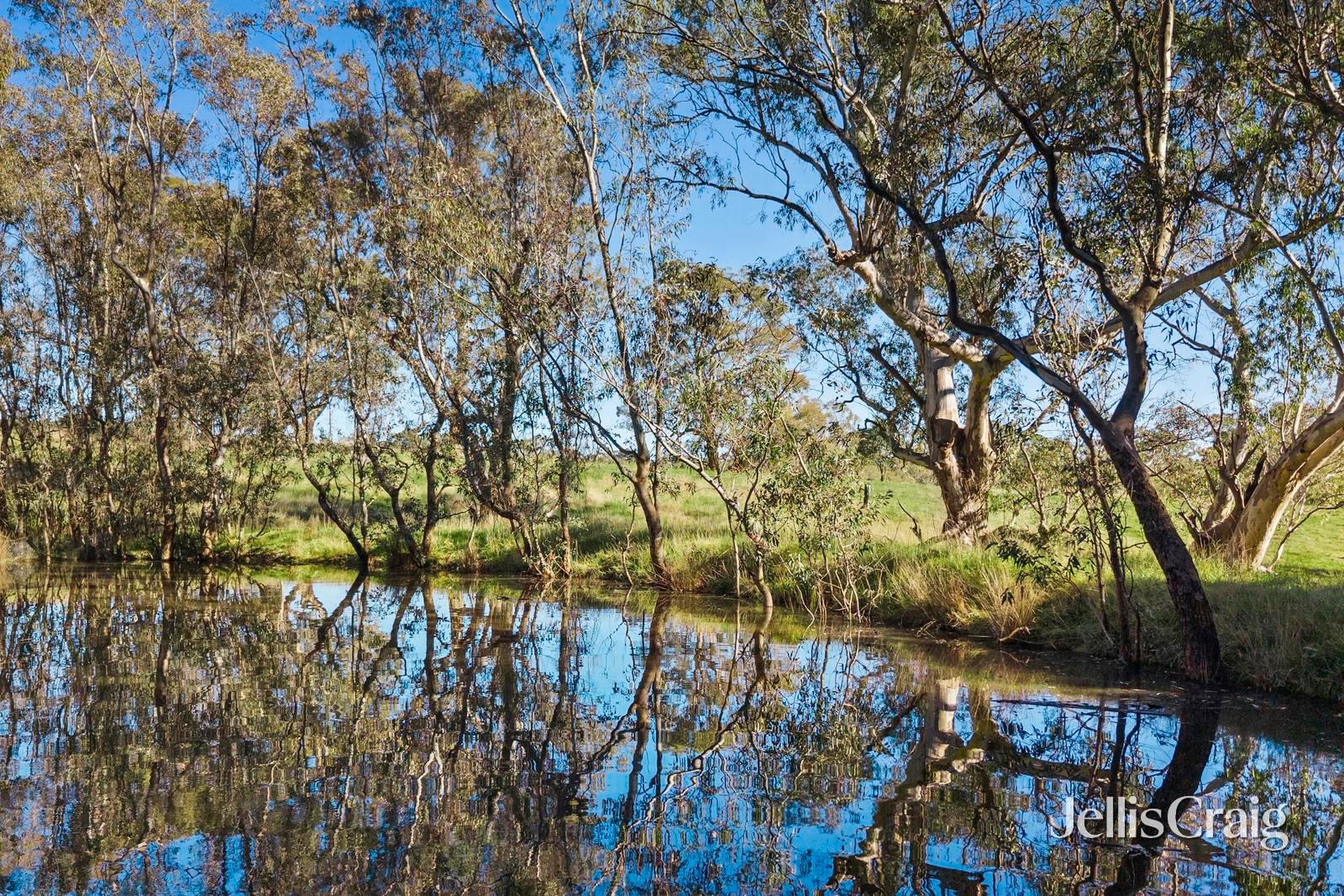 34 Malmsbury Metcalfe Road, Metcalfe image 17