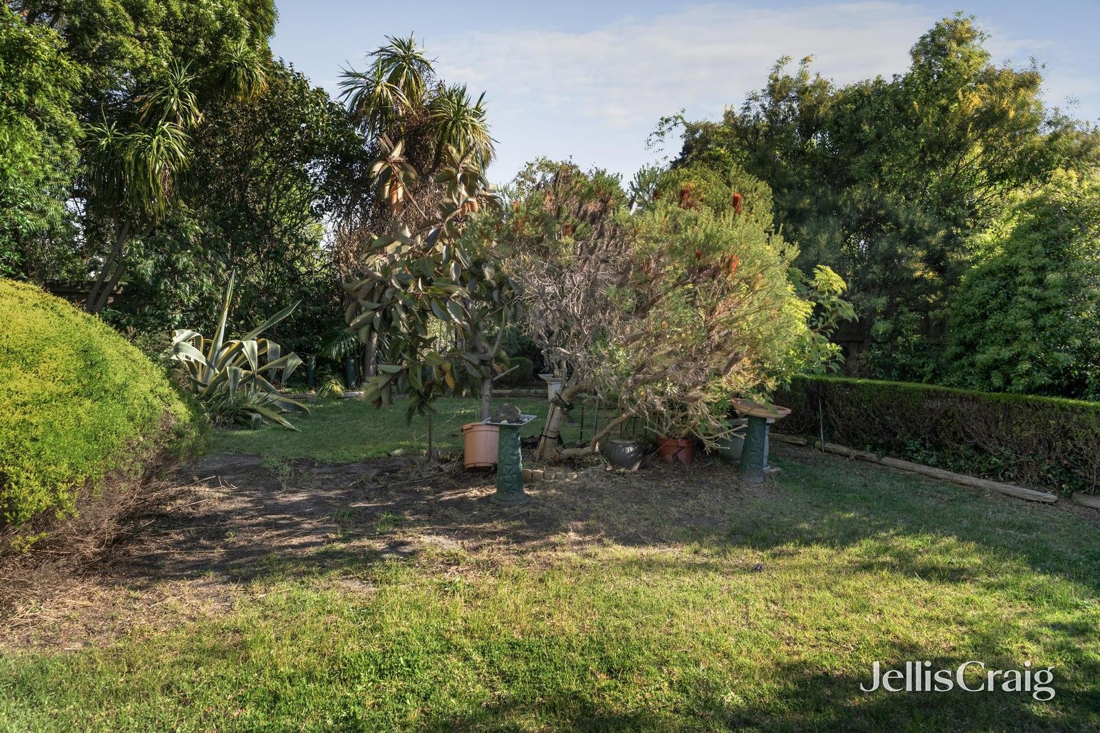 34 Morden Court, Nunawading image 6